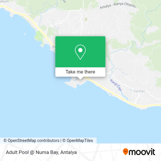 Adult Pool @ Numa Bay map