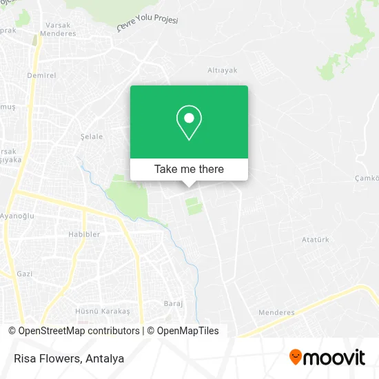 Risa Flowers map