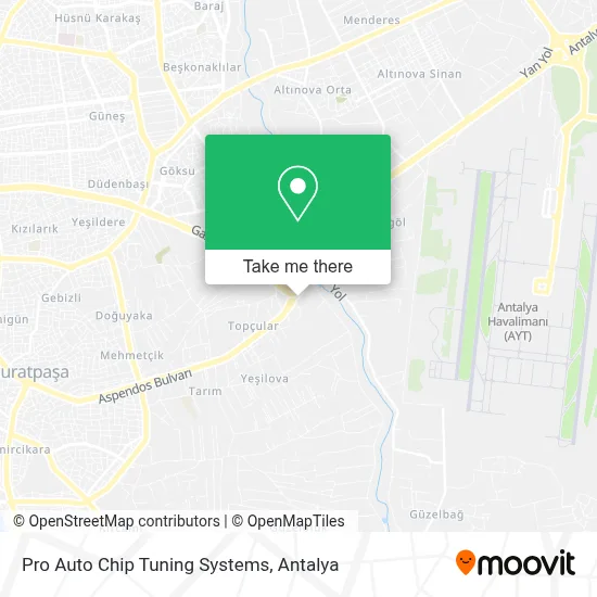 Pro Auto Chip Tuning Systems map