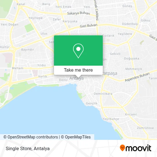Single Store map