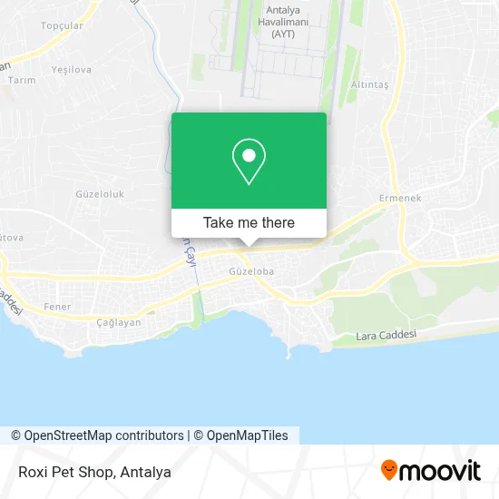 Roxi Pet Shop map