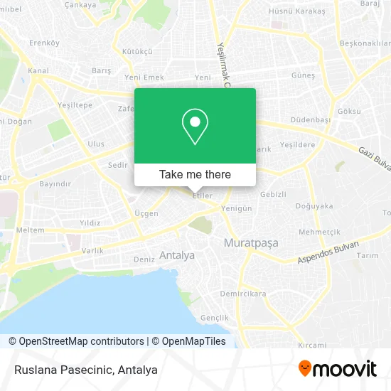 Ruslana Pasecinic map