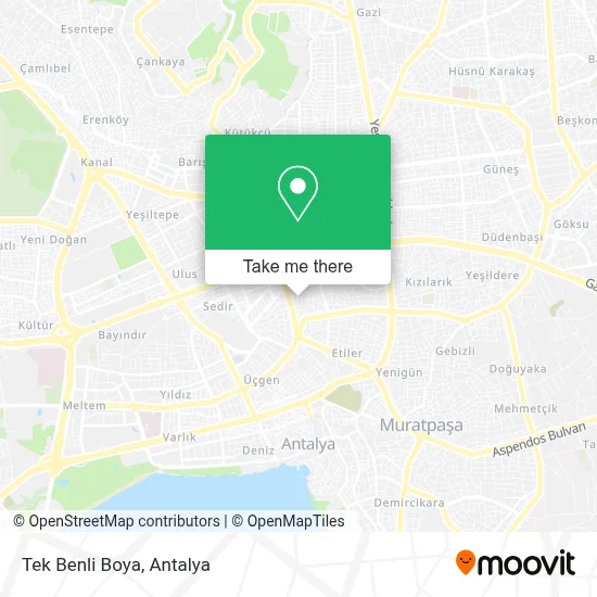Tek Benli Boya map