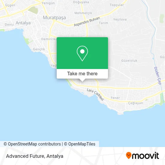 Advanced Future map