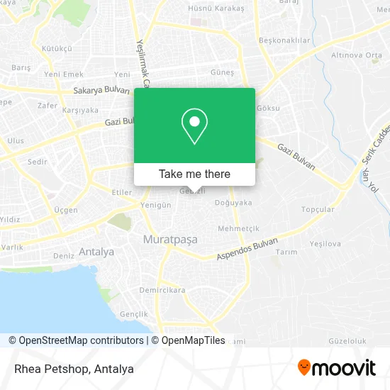 Rhea Petshop map