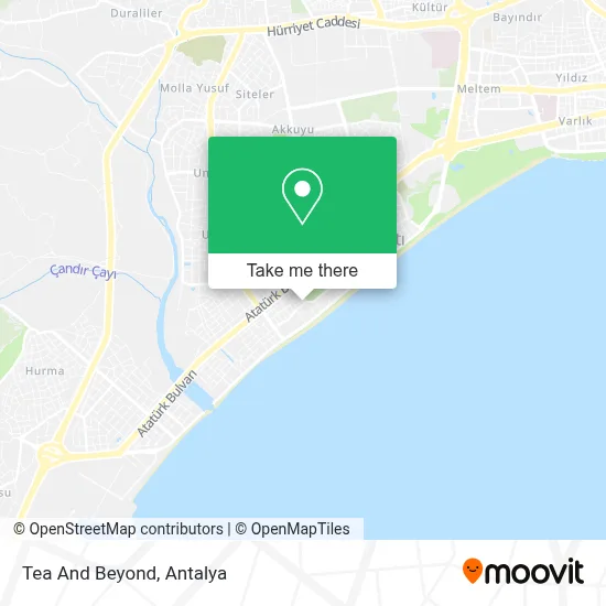 Tea And Beyond map