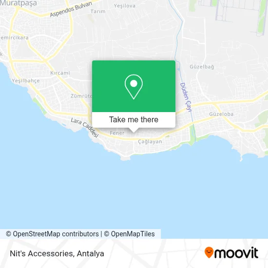 Nit's Accessories map