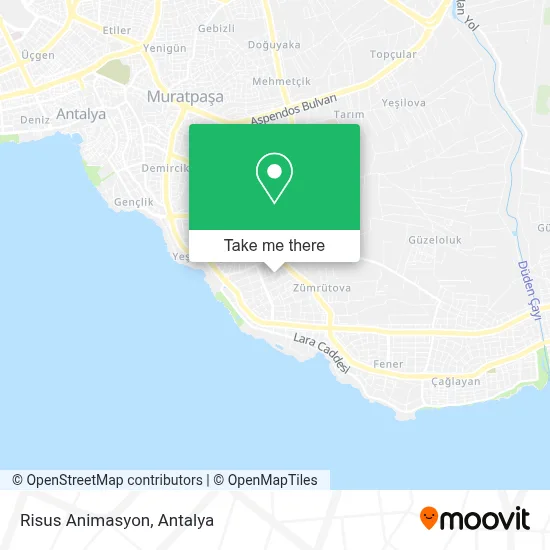 Risus Animasyon map
