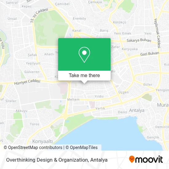 Overthinking Design & Organization map