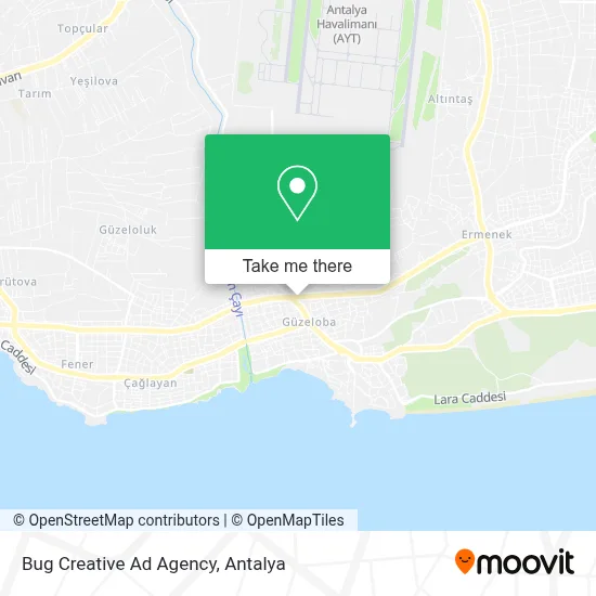 Bug Creative Ad Agency map