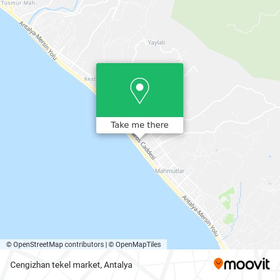 Cengizhan tekel market map
