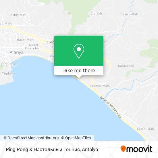 Ping Pong & Настольный Теннис map