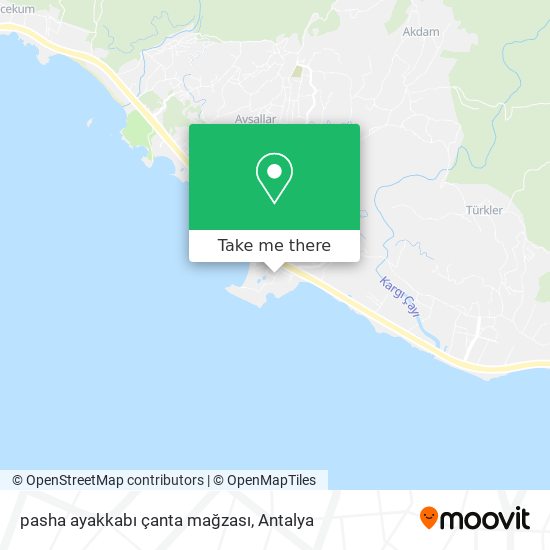 pasha ayakkabı çanta mağzası map