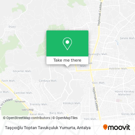 Taşçıoğlu Toptan Tavukçuluk Yumurta map
