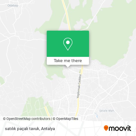 satılık paçalı tavuk map