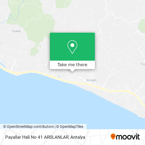 Payallar Hali No 41 ARSLANLAR map