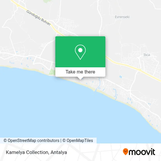 Kamelya Collection map