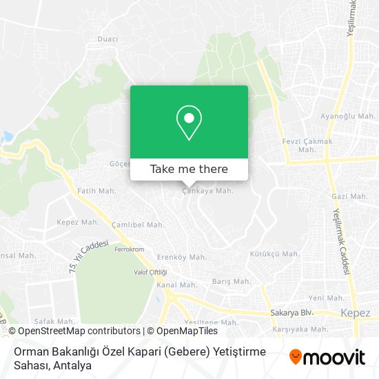 Orman Bakanlığı Özel Kapari (Gebere) Yetiştirme Sahası map