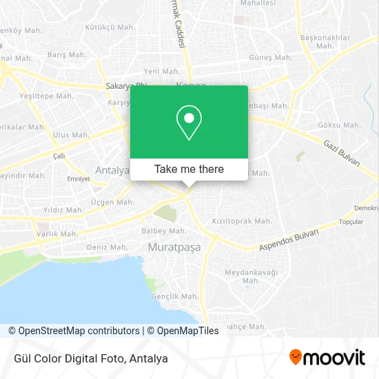 Gül Color Digital Foto map
