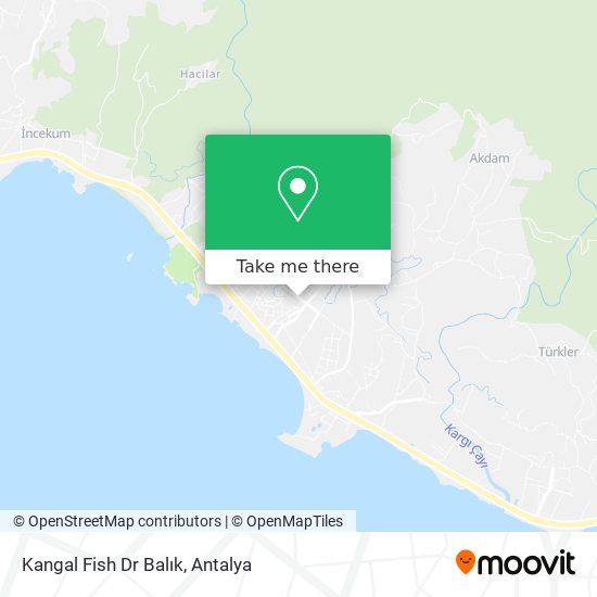 Kangal Fish Dr Balık map