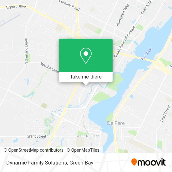 Dynamic Family Solutions map