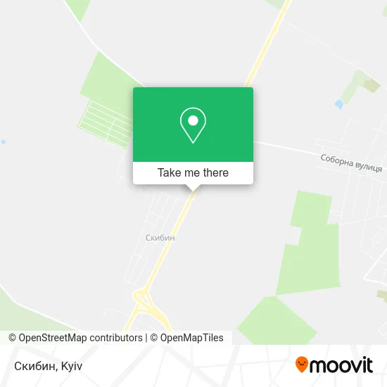 Карта Скибин