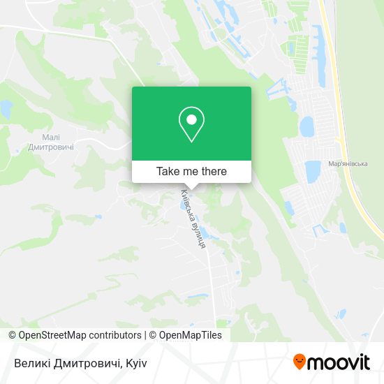 Великі Дмитровичі map