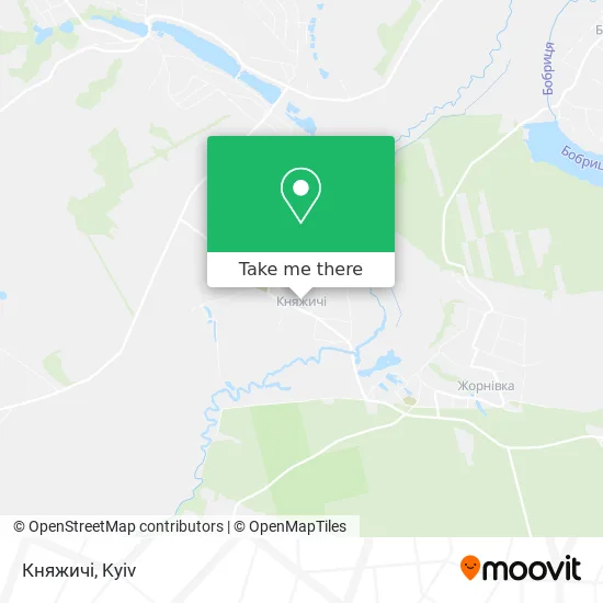 Княжичі map