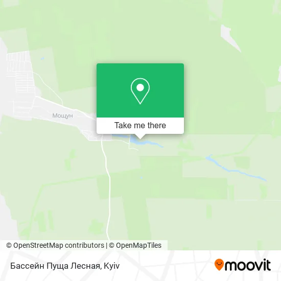 Карта Бассейн Пуща Лесная