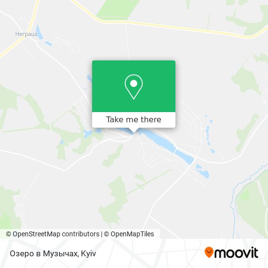 Озеро в Музычах map