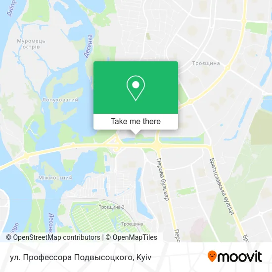 Карта ул. Профессора Подвысоцкого