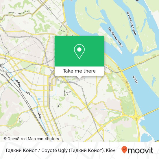 Гадкий Койот / Coyote Ugly (Гидкий Койот) map