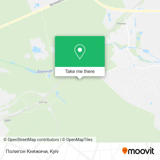 Полигон Княжичи map