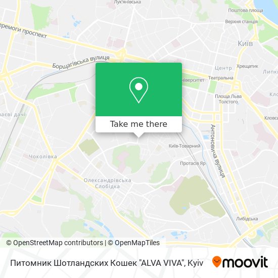 Питомник Шотландских Кошек  "ALVA VIVA" map