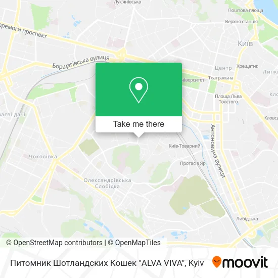 Карта Питомник Шотландских Кошек  "ALVA VIVA"