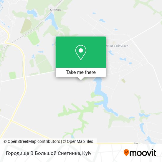 Карта Городище В Большой Снетинке