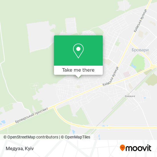 Медуза map