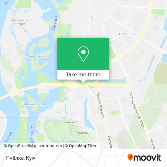 Пчёлка map