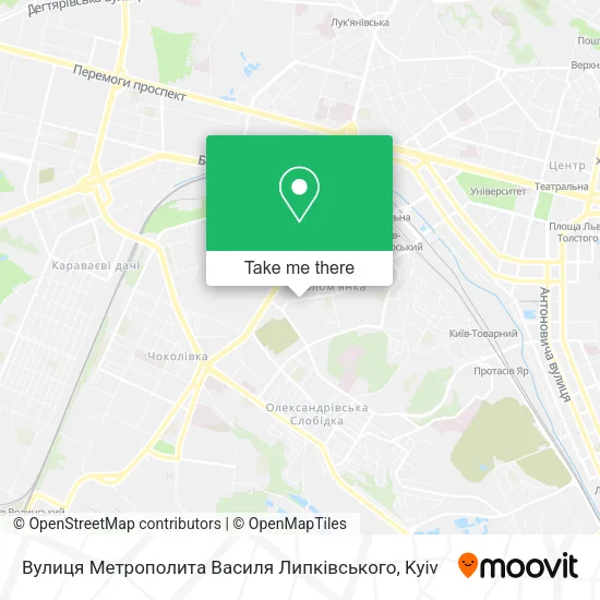Карта Вулиця Метрополита Василя Липківського