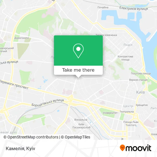 Камелія map