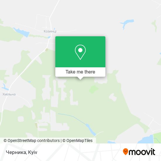 Черника map