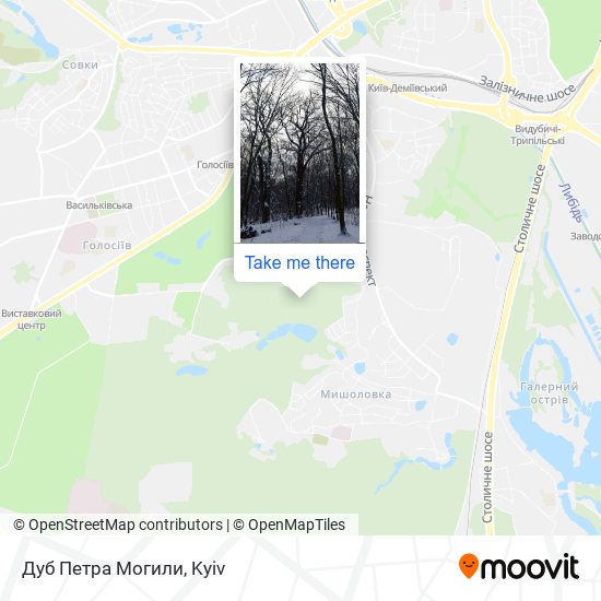 Карта Дуб Петра Могили