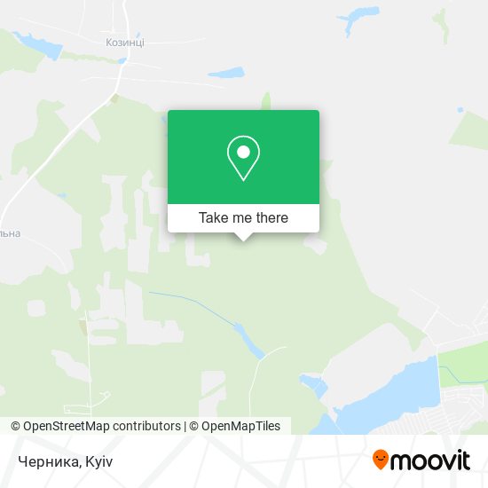 Черника map