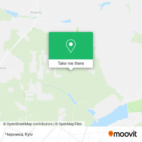 Карта Черника