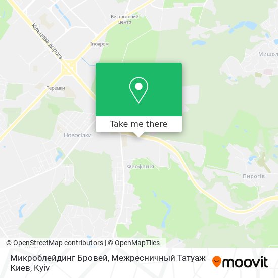 Карта Микроблейдинг Бровей, Межресничный Татуаж Киев