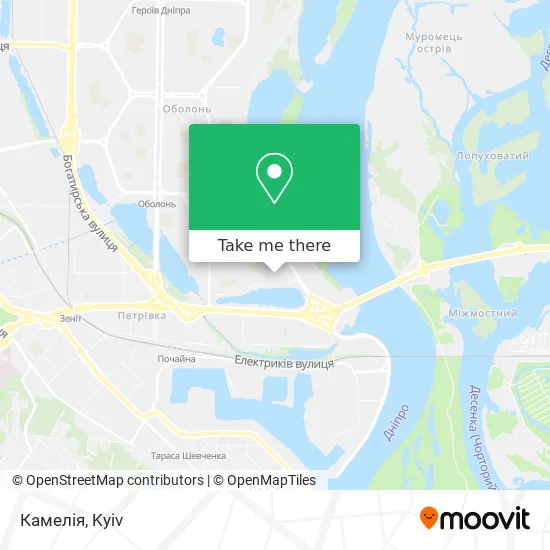 Камелія map