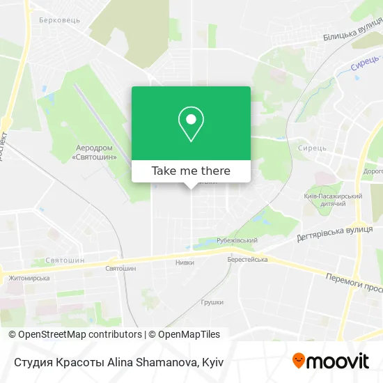 Карта Студия Красоты Alina Shamanova