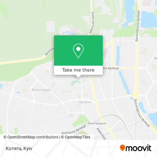 Карта Котята