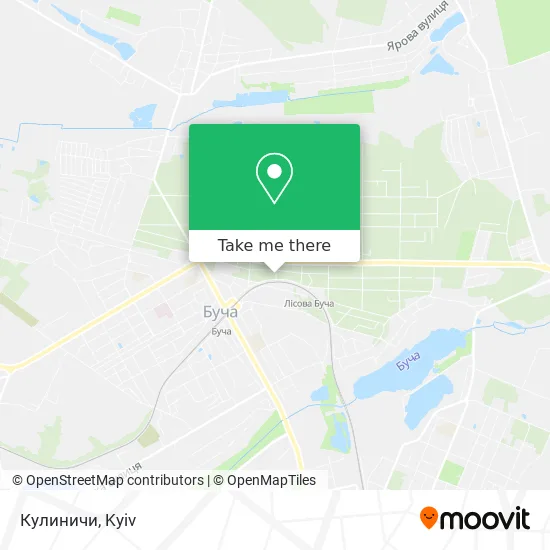 Кулиничи map
