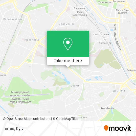 Карта amic